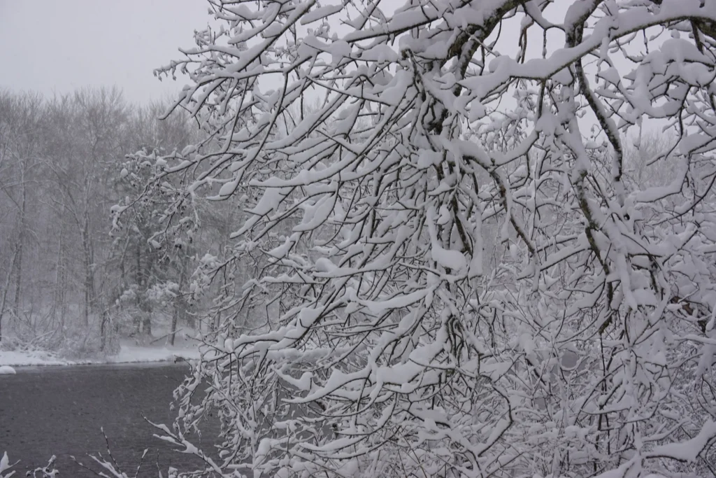 A maze of temporary carbon