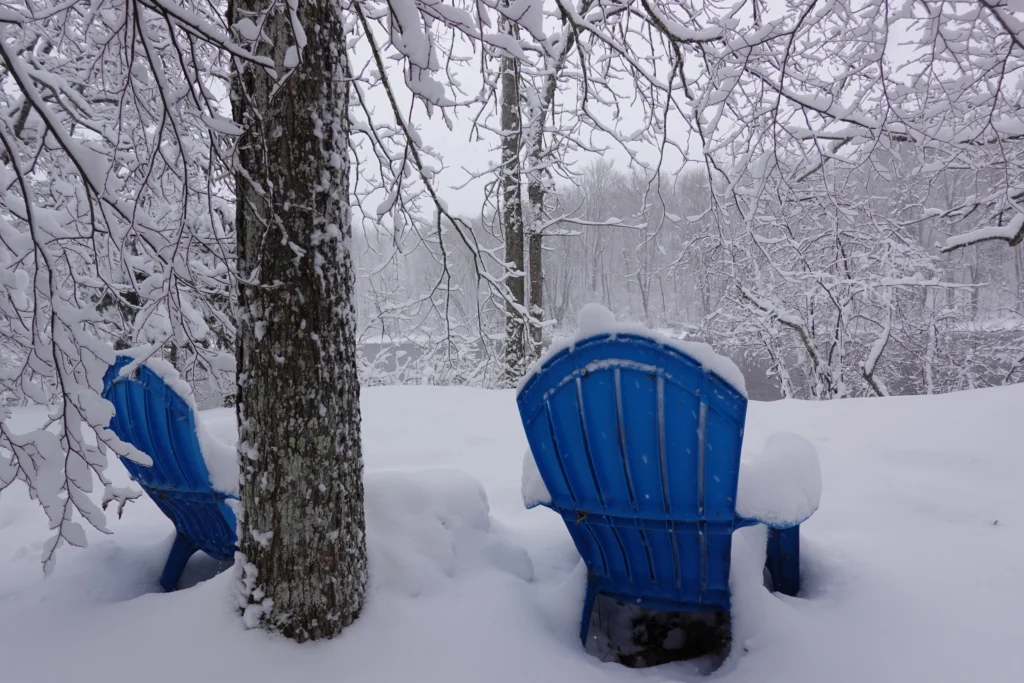 Adult commercial setting for townies