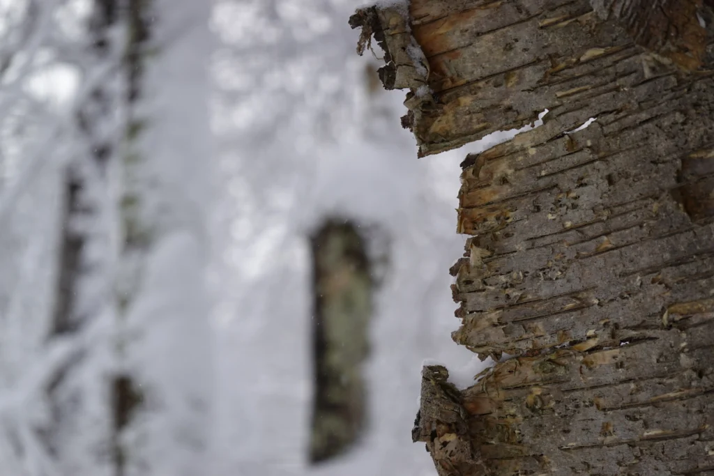 Jagged window blurs soul