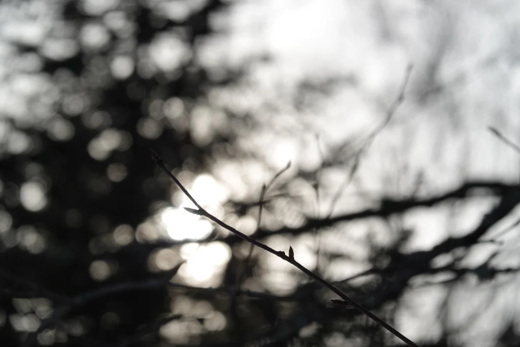 Another minute and I might've been goone