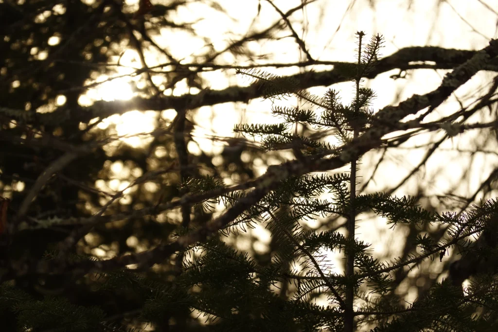 Let's melt all the plastic