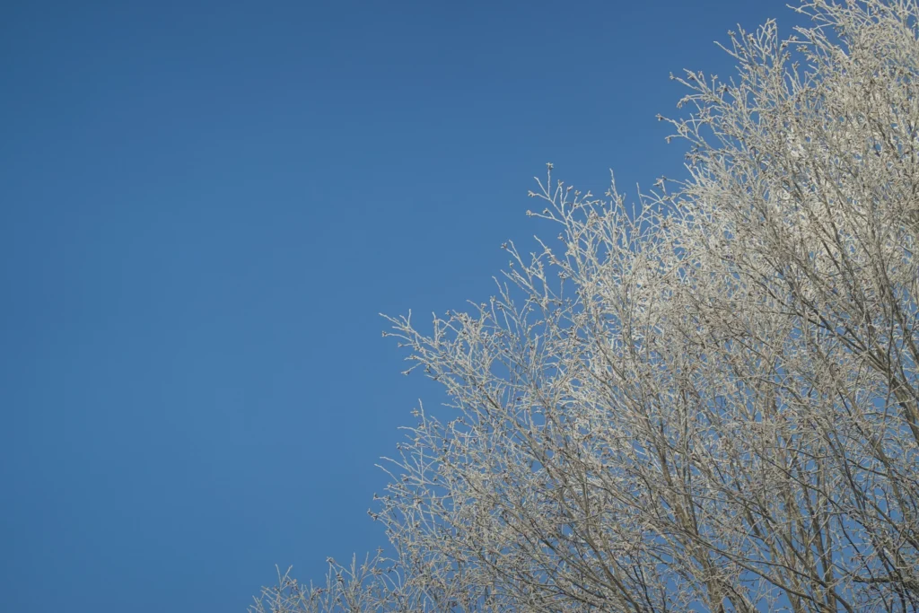 Deep ancient cold seeps in