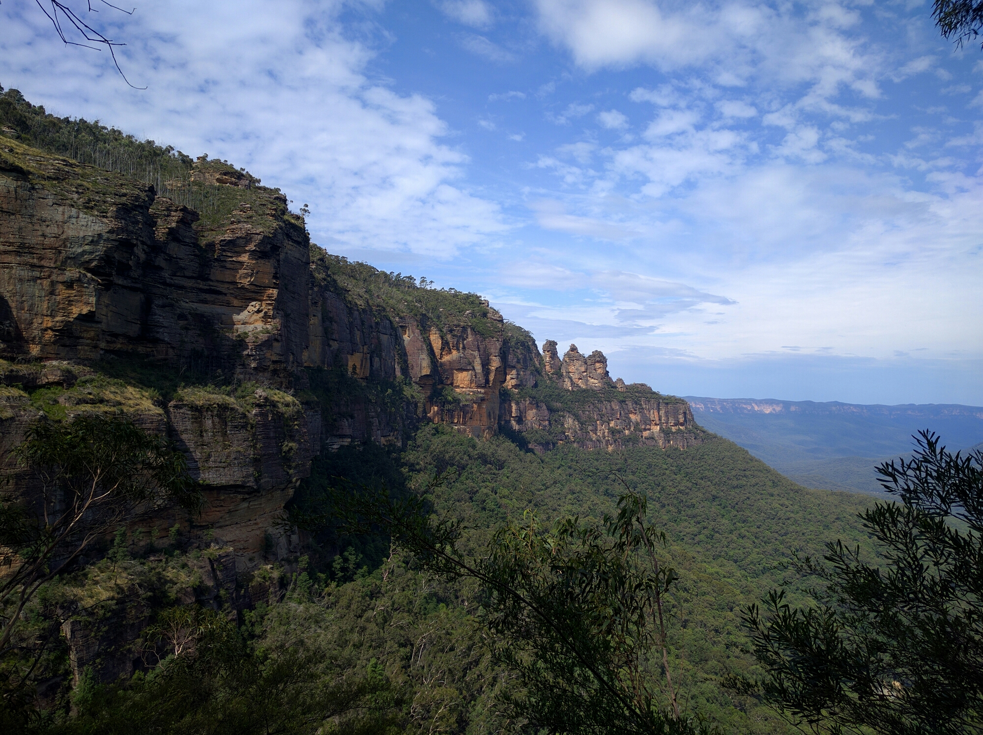 Week in review: Blue Mountains