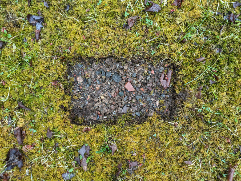 A six inch by four inch rectangle  cut out of a moss covered ground to reveal bits of rock and sand.