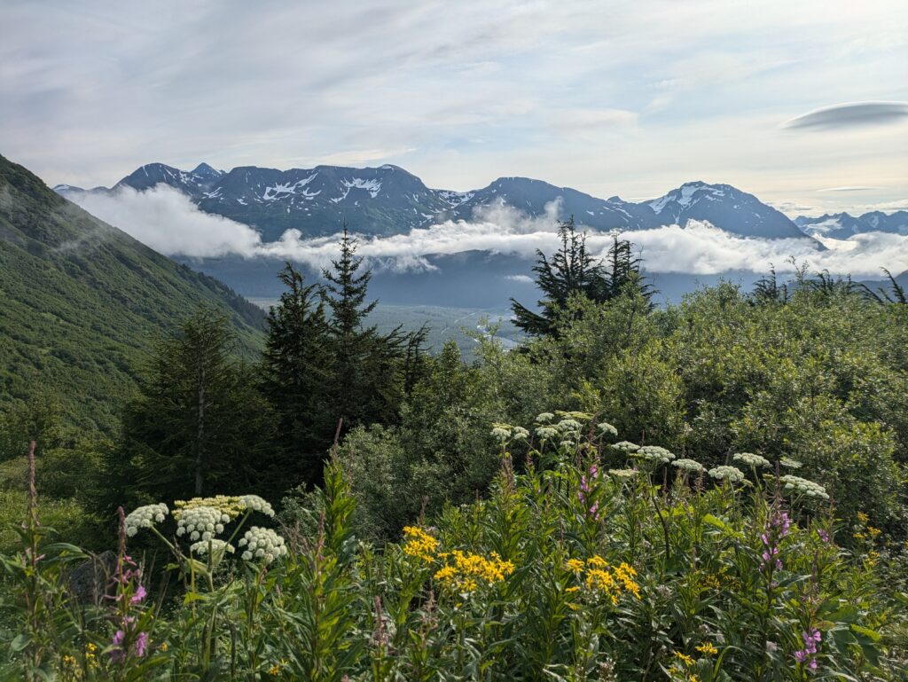 Wildflowers appear. Still not half way.