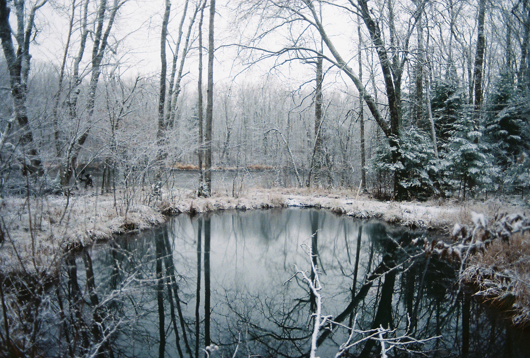 AE-1 Study: Pond